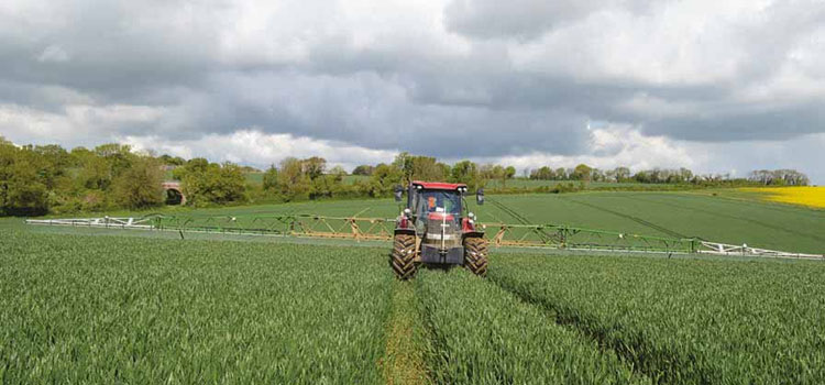 Wide spectrum wheat fungicide set for 2024