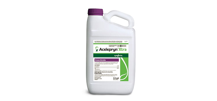 Syngenta announces Acelepryn Xtra availability