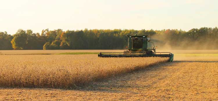 A-State, UAPB receive grant to develop more Black agriculture teachers