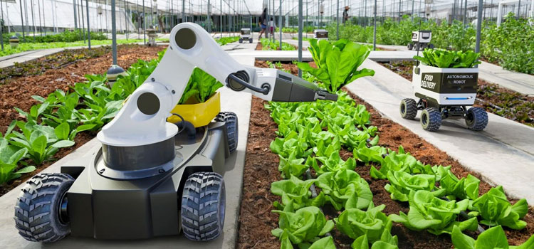 AI seeing staggering demand in agriculture sector