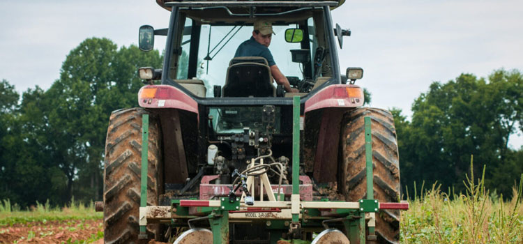 Foreign ownership of U.S. farmland probed at U.S. Senate hearing