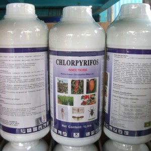 Chlorpyrifos 480gl EC