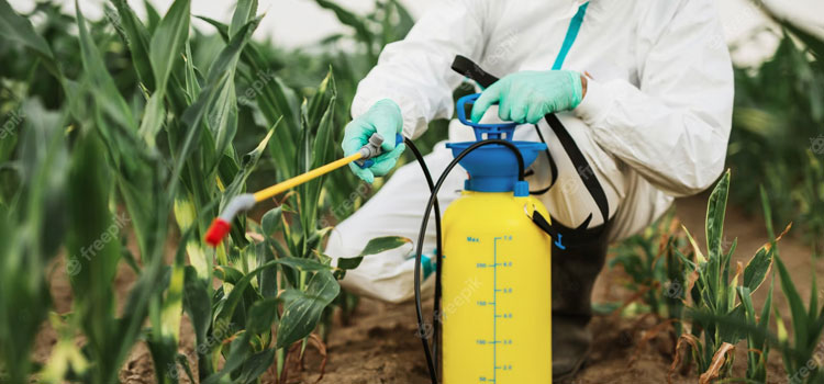 Global Pesticide Use Is on the Rise